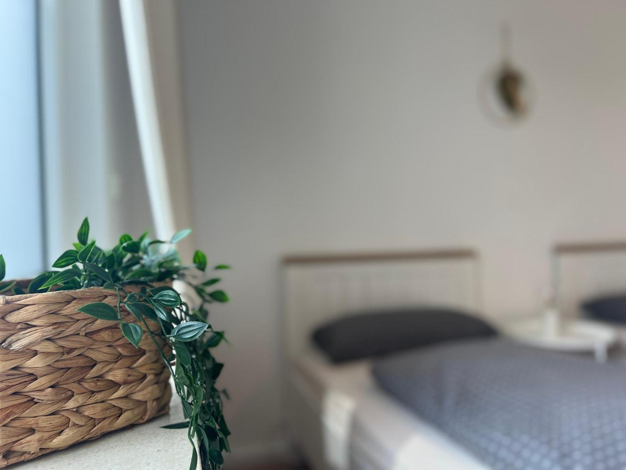 Apartments-Bad Harzburg, Zentrale Ferienwohnung Екстериор снимка